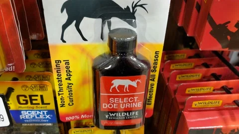 Select Doe Urine Container Vídeo Stock 176607819