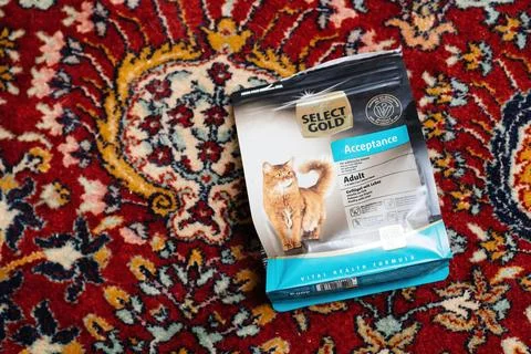 Select Gold acceptance package with cat dry pet food on the silk rug in living Fotos de archivo