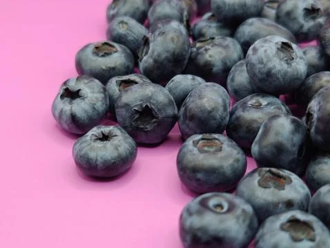 Selected blueberries Stock Photos