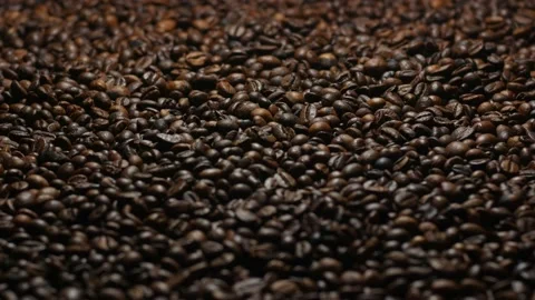 Selected Coffee Beans Stock Footage 108610475