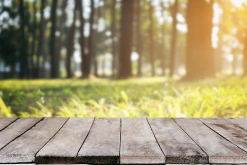 Selected focus empty wooden table and view of green forest blur background wi Stock Photos