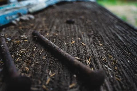 The selected focus very old rusty screws on the wood floor Stock Photos