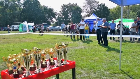 Selected German Shepherds at a prestigious competition Video stock 115824411