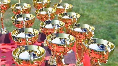 Selected German Shepherds at a prestigious competition Stock Footage 115824473