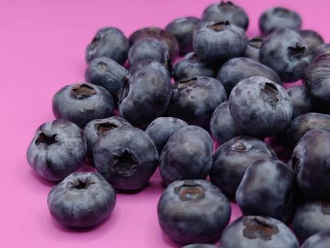 Selected large blueberries Stock Photos