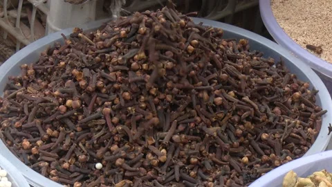 Selected Long Pepper Spices Macro Stock Footage 321465989