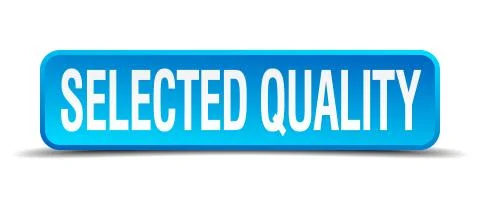 Selected quality blue 3d realistic square isolated button Stock Illustration