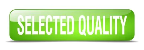 Selected quality green square 3d realistic isolated web button Illustrazione stock