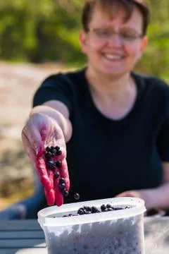 Selecting blueberries Stock-Fotos