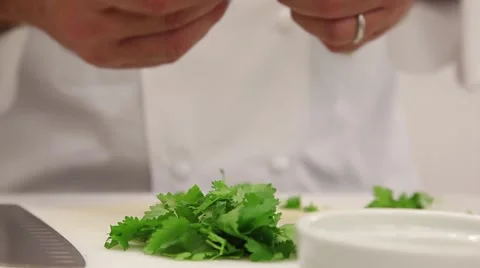 Selecting coriander Stock Footage 46531766