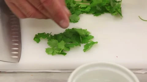 Selecting coriander Stock Footage 46531830