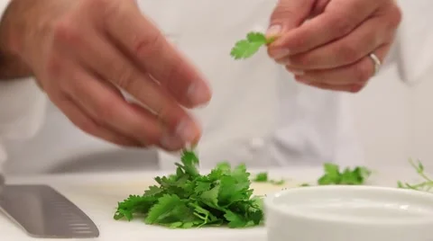 Selecting coriander Stock Footage 46531865