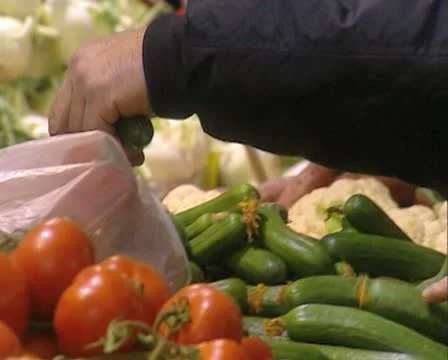 Selecting cucumbers Stock Footage 20511789