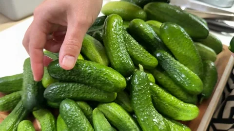 Selecting Fresh Cucumbers Stock Footage 313363701