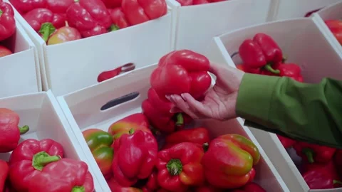 Selecting fresh red bell peppers from box in market Stock Footage 285027797