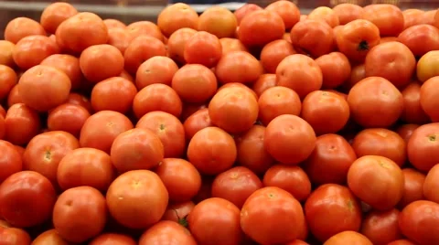 Selecting a Fresh Tomato Vídeos de archivo 40576426