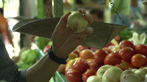 Selecting onions 2 Stock Footage 34569313