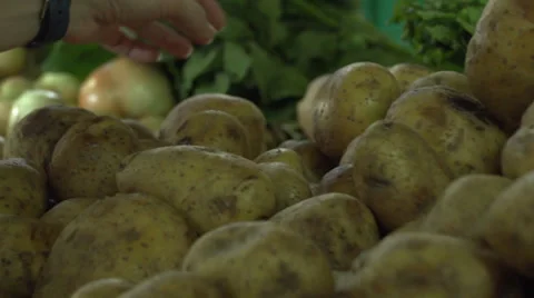 Selecting Potatoes Stock Footage 34569735