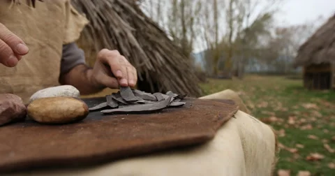 Selecting silex blades Vidéo 61265524