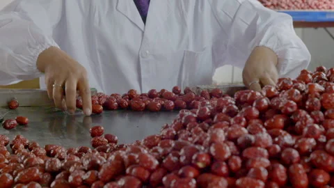 Selection and production of Xinjiang red dates Stock Footage 240975245
