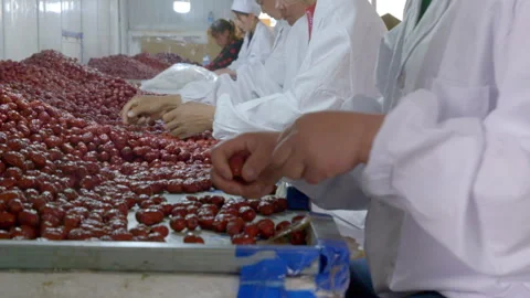 Selection and production of Xinjiang red dates Stock Footage 240976511