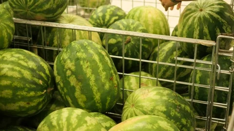 The selection and purchase watermelon in the store 動画素材 66389336