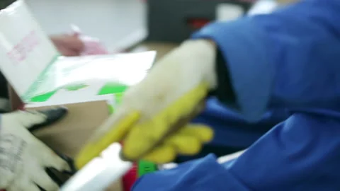 Selection and sorting carrots from boxes. People with knifes clean veggies. Reta Video stock 199486927