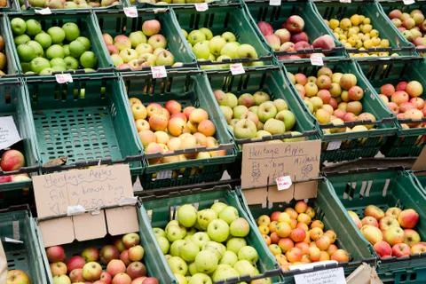 Selection of apples Stock Photos