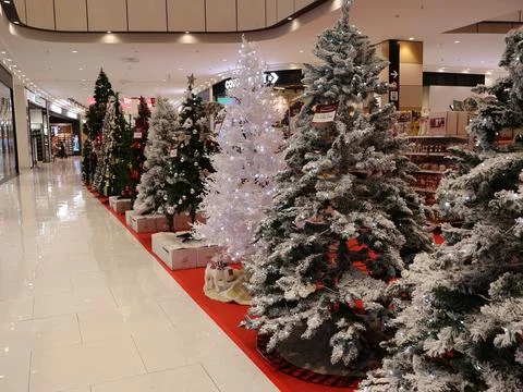 Selection of artificial Christmas trees in the store Stock Photos