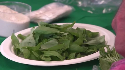 Selection of the best basil leaves Stock Footage 206746132