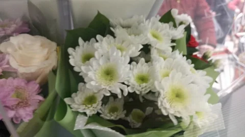 Selection of bouquets of flowers in the machine standing in the store  Stock Footage 120662579