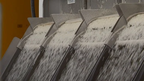 Selection, Cleaning and Storage of Rice Grains for Future Harvest. Seed Plant Stock Footage 118462864
