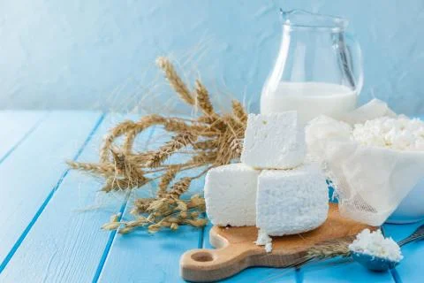 Selection of dairy products Stock Photos