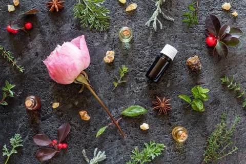 Selection of essential oils with frankincense, a rose and herbs Stock Photos