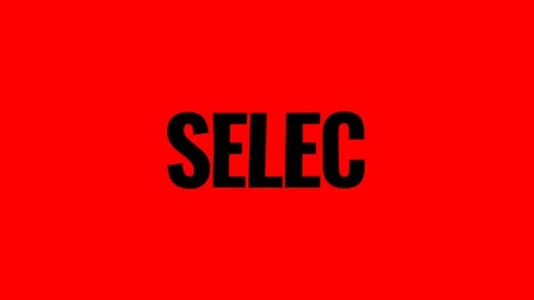 SELECTION Stock Footage 336013584