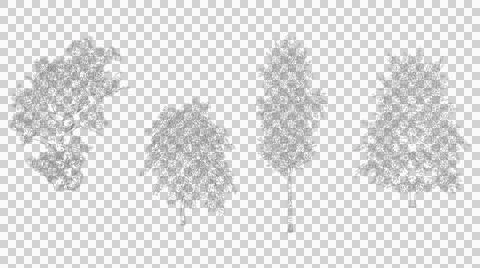 Selection of four mature trees isolated on transparent background Stock Illustration