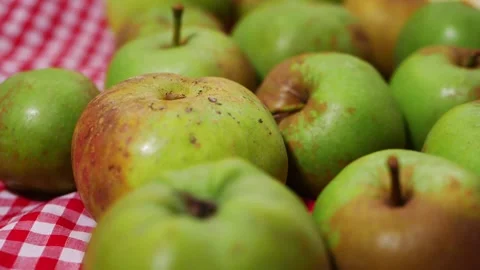 Selection of fresh green baking apples on red gingham background Stock-Footage 165299723