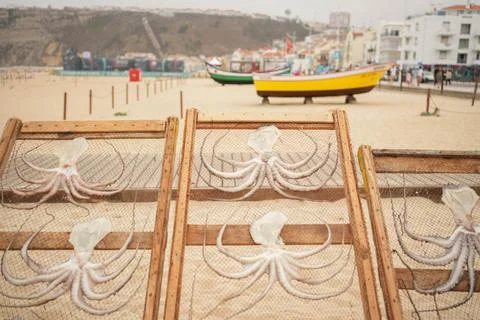 Selection of fresh octopus cutlets at a beach Foto stock