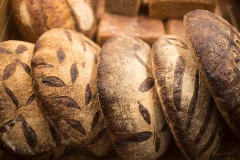 Selection of freshly baked bread loaf Stock Photos