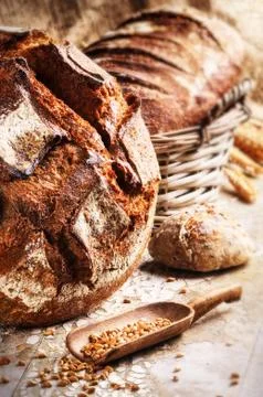 Selection of freshly baked bread Stock Photos