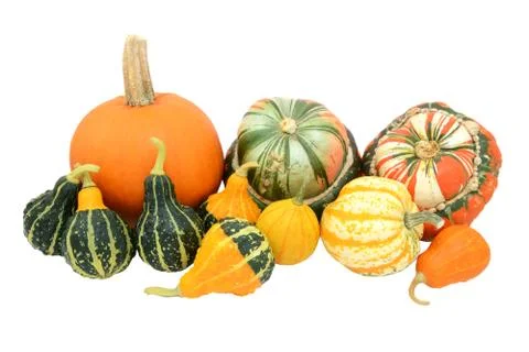 Selection of gourds, pumpkins and squashes Stock Photos