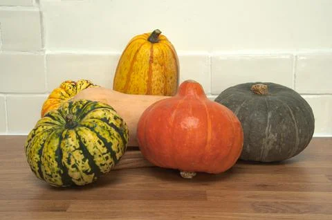 Selection of  harvest  vegetable  pumpkins  for  thanks  giving  fall  Halloween Stock Photos