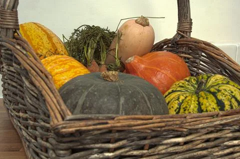 Selection of  harvest  vegetable  pumpkins  for  thanks  giving  fall  Halloween Foto stock