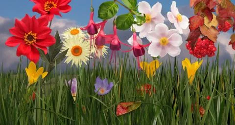 Selection of multicolored autumn flowers, assemblage, panoramic Stock Photos