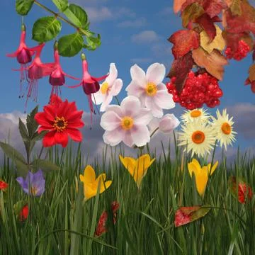 Selection of multicolored autumn flowers, assemblage, square Stock Photos