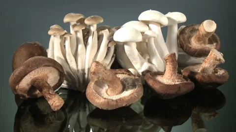 SELECTION OF MUSHROOMS Vidéo 59007965