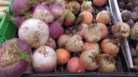 A selection of organically grown root vegetables at the farmers market Stock-Footage 111035241