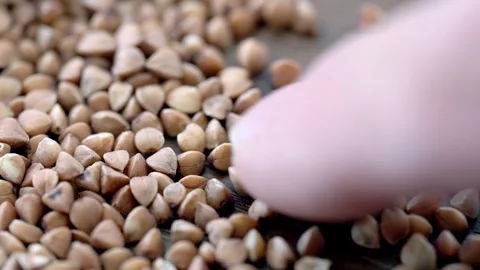 Selection of quality buckwheat grains for cooking macro Stock Footage 311776388