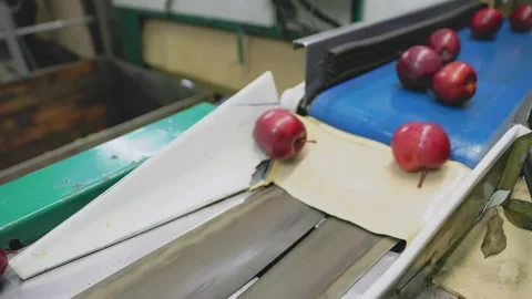 Selection of red apples on an automatic line Stock Footage 223914296