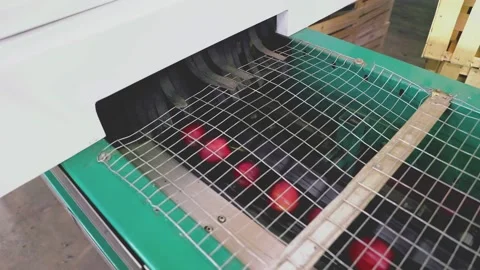 Selection of red apples on an automatic line Stock Footage 224470277